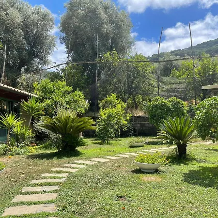 Apartman Casa Sorrento, Immerso Nel A Pochi Passi Dal Centro Sorrento