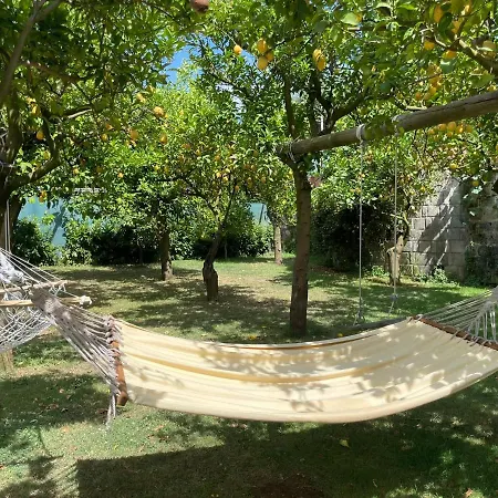Casa Sorrento, Immerso Nel A Pochi Passi Dal Centro Apartment Sorrent